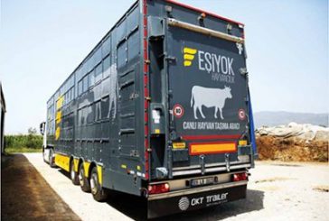 OKT Trailer canlı hayvan taşıma aracı ile hayvanları koruyor ve müşterilerine kazandırıyor